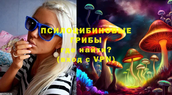 spice Волосово
