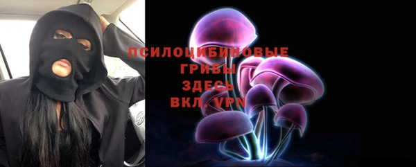 дурь Горнозаводск