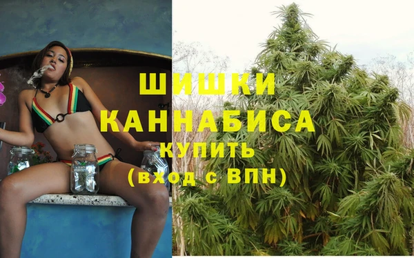 spice Волосово