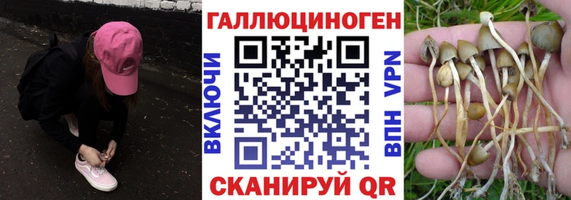 Купить  Зарайск  Галлюциногенные грибы GOLDEN TEACHER 
